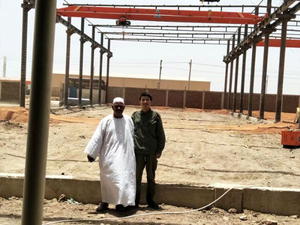 起重机国外安装现场